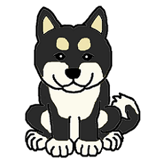 Daily Life with Black-Shiba(English)