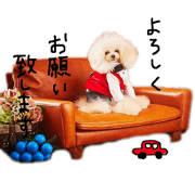 love peace_20190303131755