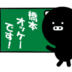 BAPIG for HASHIMOTO