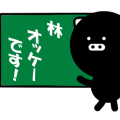 BLAPIG for HAYASHI