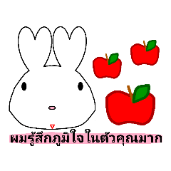 rabbit love thai