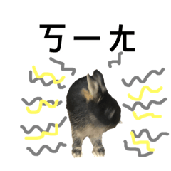 黑嚕嚕嚕の日常
