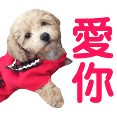 奶茶a日常