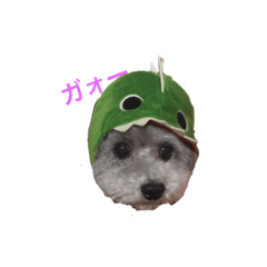 youko_fuchan_20190303171807