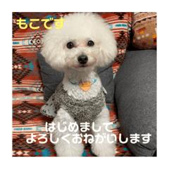 hiroki_20190303235937