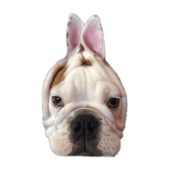 KURUMI_20190303224022