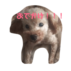 yumming_20190304010948
