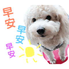 財財 財財