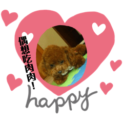專屬寶貝樂❤️