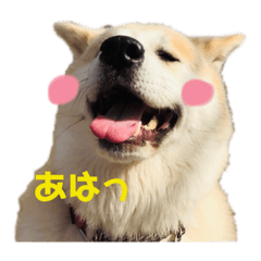 milla_20190304132545