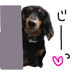 asuka_20190304164534