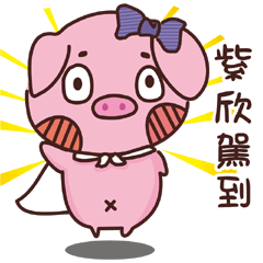 Coco Pig -Name stickers -TZU HSIN