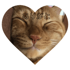 MIZUKI_20190304022709