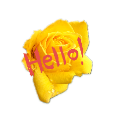 ...ROSE..