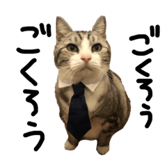 tamasima_20190304221439