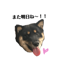 Yoshikawa's house of Taro-kun des