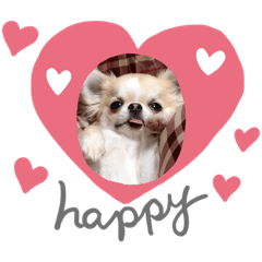 HANA_20190305095255