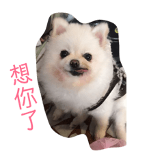 小胖妹妹妹