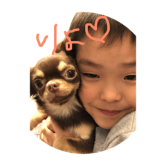 yk_20190305
