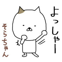 kawaii cat Sorachan