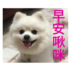 斑斑好可愛