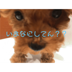 natsumi_20190305234702