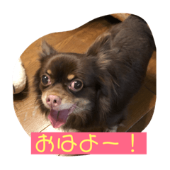 cocomaro20190306002558