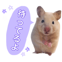 kaede_20190310140617