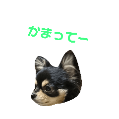 kazuki_20190306000234