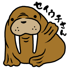 carefree walrus