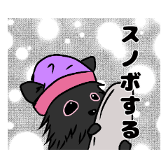Aami_20190306115843
