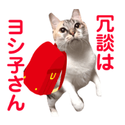 Next old cat talks about old buzzwords