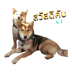 Miko_20190309200157