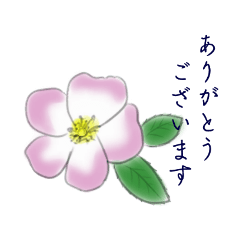 シンプルな一輪の花の丁寧語スタンプ