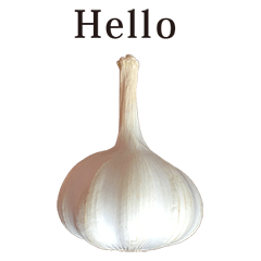 ninniku 5 English Garlic