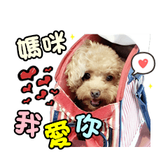維妮小天使狗狗