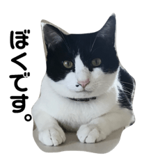 Hikari_20190307022916