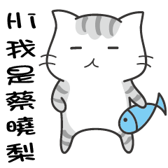 Winking cat name Cai Xiaoli exclusive.