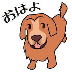 Golden retriever dog HALO Stamp