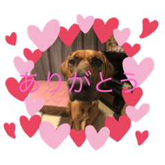 rinrin_20190307130912