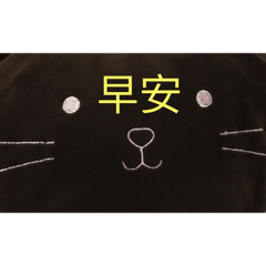 喵傳記