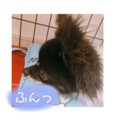 Ruby_20190308004837