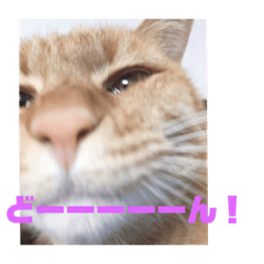 ASUKA_20190307234639