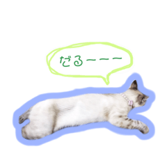 monaka_20190307221010