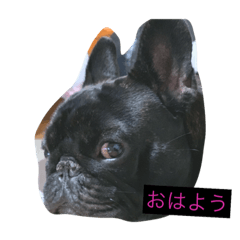 haruna_20190308103112