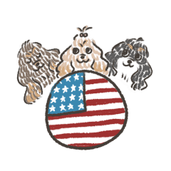 American sticker