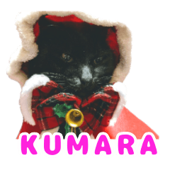 Black cat Kumara 02
