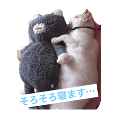 lapin_komugi