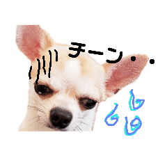ellie_20190308203514
