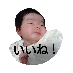 hachi_20190308220500